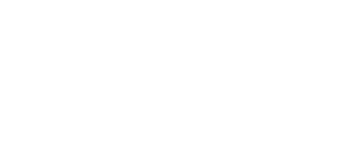 revisiones.png